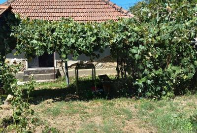 Casă cu 2 camere în Văgiulești - 2