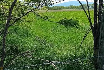 Spațiu comercial, în Hărman - 2