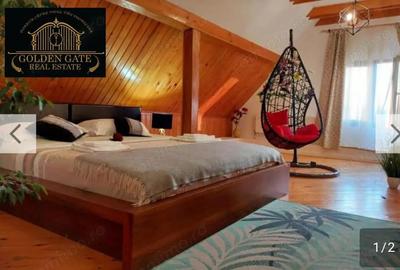 Pensiune de vanzare la cheie, 11 camere, piscina ?i jacuzzi Ra?nov - 14