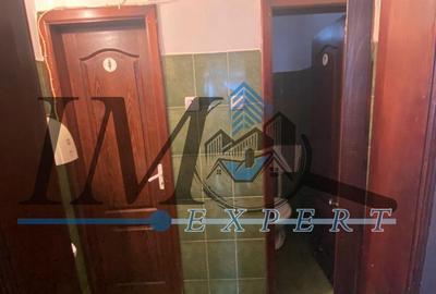 Spațiu comercial, de 110 mp, în Teiu - 4