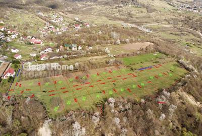 Teren de 23345 mp, în Cornu - 6