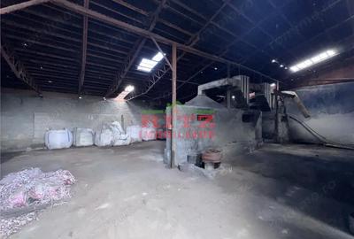 Spațiu comercial, de 354 mp, în Crișan - 6