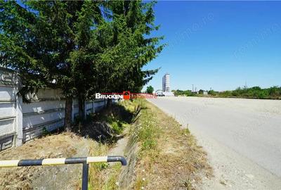 Teren industrial de vanzare 4.659 mp + optional 1.000 mp Suplacu de Barcau - 10