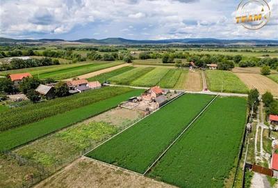 Teren Construcții intravilan de 1833 mp, în Prejmer