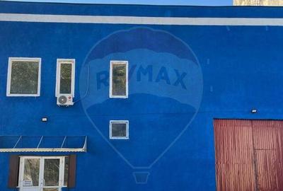 Spatii depozitare /productie 500 / 275/108 85/54 mp Jilav... - 18