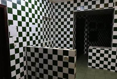 Spatiu comercial in vila Piata Rosetti 330mp cu terasa 100mp - 11