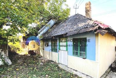 CASA + teren intravilan, comuna BODESTI - 7