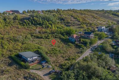 Teren 6.583 mp cu dubla deschidere si utilitati, Calea Adevarului - Oradea Teren 6.583 mp cu dubla deschidere si utilitati, Calea Adevarului - Oradea - 6