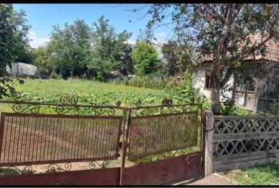 Casă în Bălăceanu