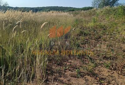 Teren cu autorizatie si proiect de construire, utilitati, Smeura - 7