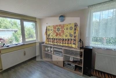 Casa Ciocanesti Cretu - 2 camere cu teren 2539 mp - Jud. Dambovita - 15