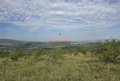 Teren de vanzare in Cluj-Napoca / Str. Soporului, intravilan, 1.380/? - 7