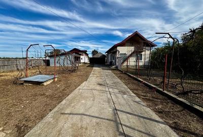 Casă de vânzare în Silisteni – 2 case, garaj, curte, grădină și livadă - 1