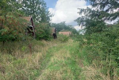 Teren de 7500 mp, în Siret - 2