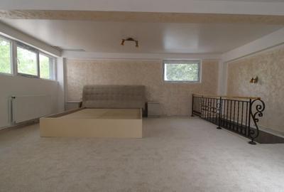 Spatiu comercial in I C Frimu - 5