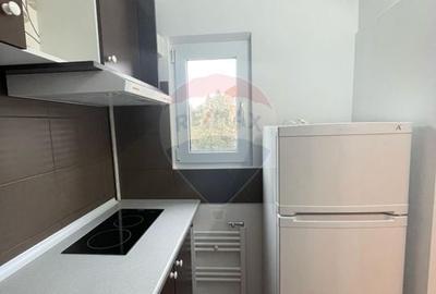 Apartament cu 1 camere semidecomandat, mobilat în Micălaca - 5