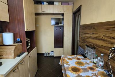Apartament cu 2 camere semidecomandat în Craiovița Nouă - 8
