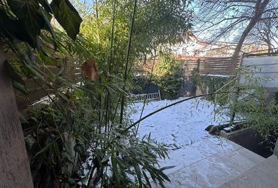 Vila langa lacul Baneasa, parcul Herastrau, zona Nord - 14