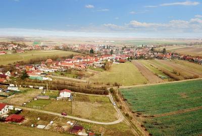 Parcele cu P.U.Z Halchiu - 6