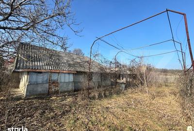 Teren de 5358 mp, în Ghercești - 4