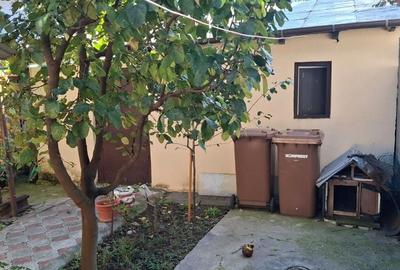 TEREN 331MP | DESCHIDERE 12M TEREN 331MP | DESCHIDERE 12M - 5