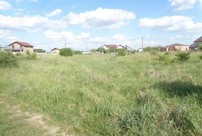 Teren de 590 mp, în Sânleani - 4