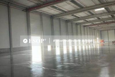 Spațiu comercial, de 5,000 mp, în Mureșeni - 6