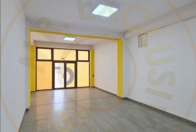 Spatiu Stradal Cu Vad Format Banat- Razboieni - 2