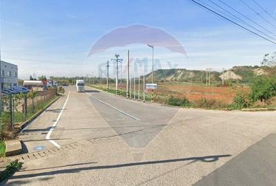 Teren Construcții intravilan de 15938 mp, în Nord-Vest - 4