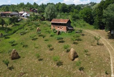 Teren de vanzare in comuna Cicane?ti, sat Bara?ti, Judet Arges. - 3
