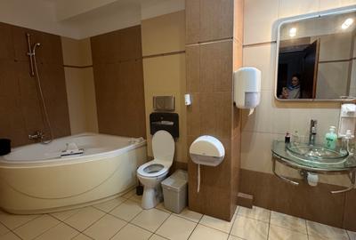 Apartament cu 6 camere semidecomandat în Herăstrău - 3