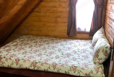 Cabana de vanzare ! - 7