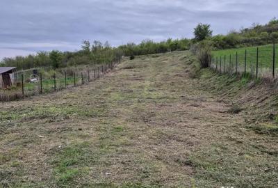 Teren de 979 mp, în Livezi - 8