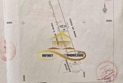 Teren de vanzare Filipesti Bacau 6838 mp - 4