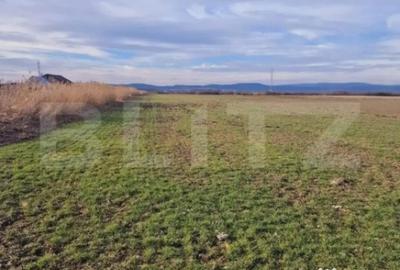 Teren de 8700 mp, în Central - 3