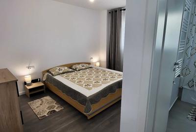Apartament cu 2 camere decomandat, mobilat în Noua - 4