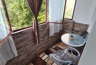 Apartament cu 2 camere semidecomandat în City Park Mall