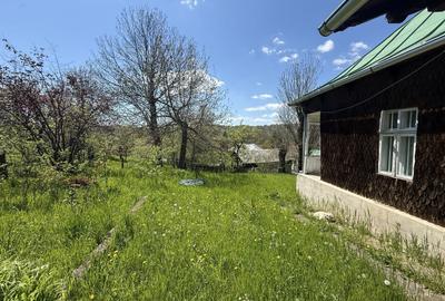 Casă individuală cu 4 camere cu Canalizare în Provița de Sus - 28