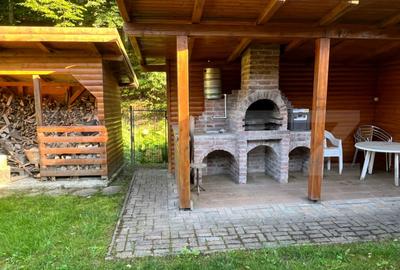 Cabana moderna in Campul Ceta?ii confort ?i natur? - 18