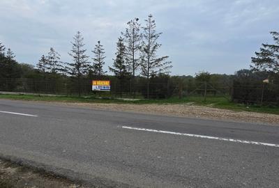 Teren agricol extravilan de 18000 mp, în Boțârlău - 32