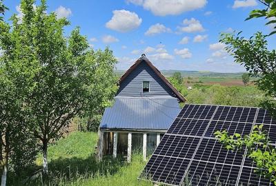 Casă cu Teren 2900 Mp în Uioara de Sus - 4