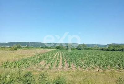 Teren în Exterior Sud
