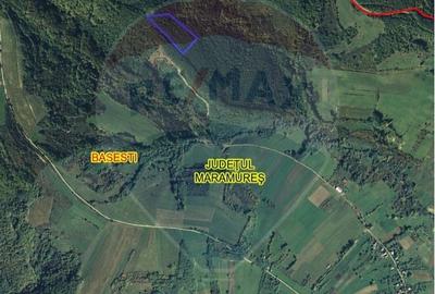 Padure de vanzare cu zona de cabana Odesti - 1