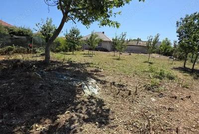 Oportunitate Unica: Vand Casa ?i Teren cu poten?ial Investi?ional in 23 August - 5