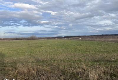 Teren de 7481 mp, în Sânmartin - 8