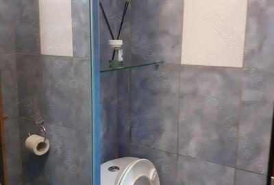 Apartament cu 3 camere decomandat în Barieră - 15