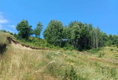 Teren de 4500 mp, în Brebu - 2