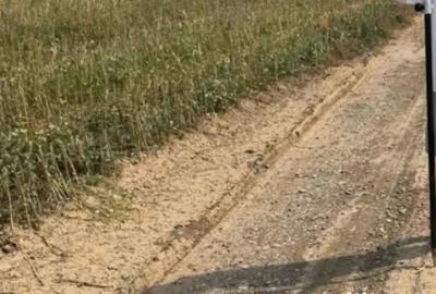 Teren de 455 mp, în Ciolpani - 9