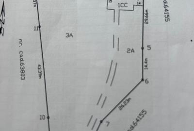Casă individuală cu 5 camere cu Teren 6400 Mp în Aroneanu - 11