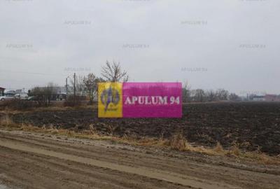 Teren ideal showroom, depozit, logistica, magazin, hala, ... - 2